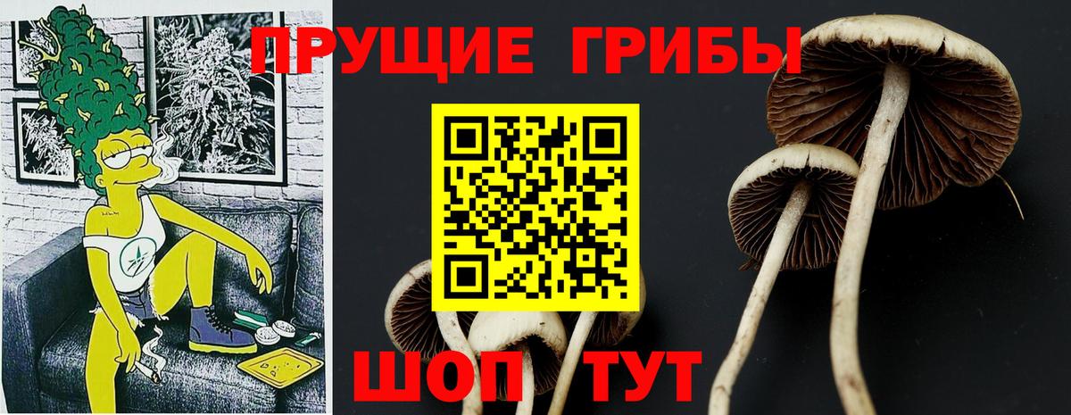 Галлюциногенные грибы GOLDEN TEACHER  Псилоцибиновые грибы ЛСД  купить закладку  Сергиев Посад  Вход с VPN 